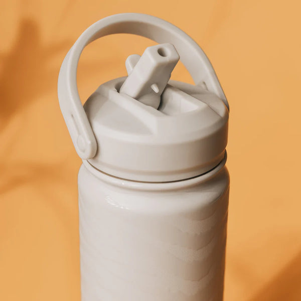 Lizzard Printed Flask 530Ml - Zebra