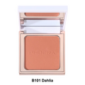 Phoera Radiant Matte Powder Blush
