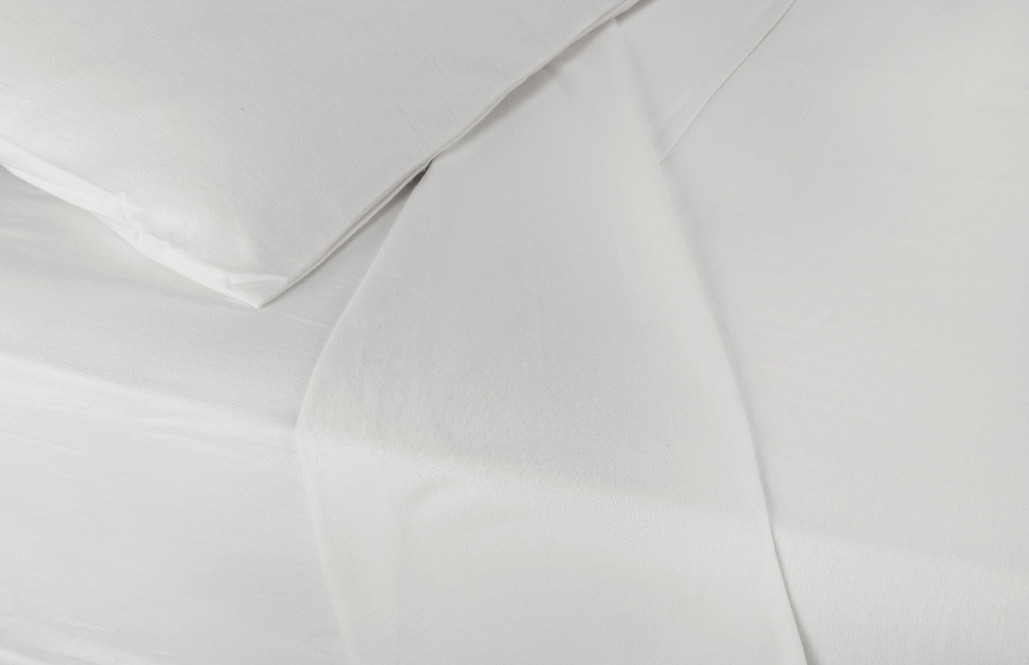 Winter Flat Sheet White - Blue Willow Tree