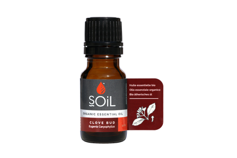 SOil Organic Essential Oil - Clove Bud Oil (Syzygium Aromaticum Eugenia) 10ml