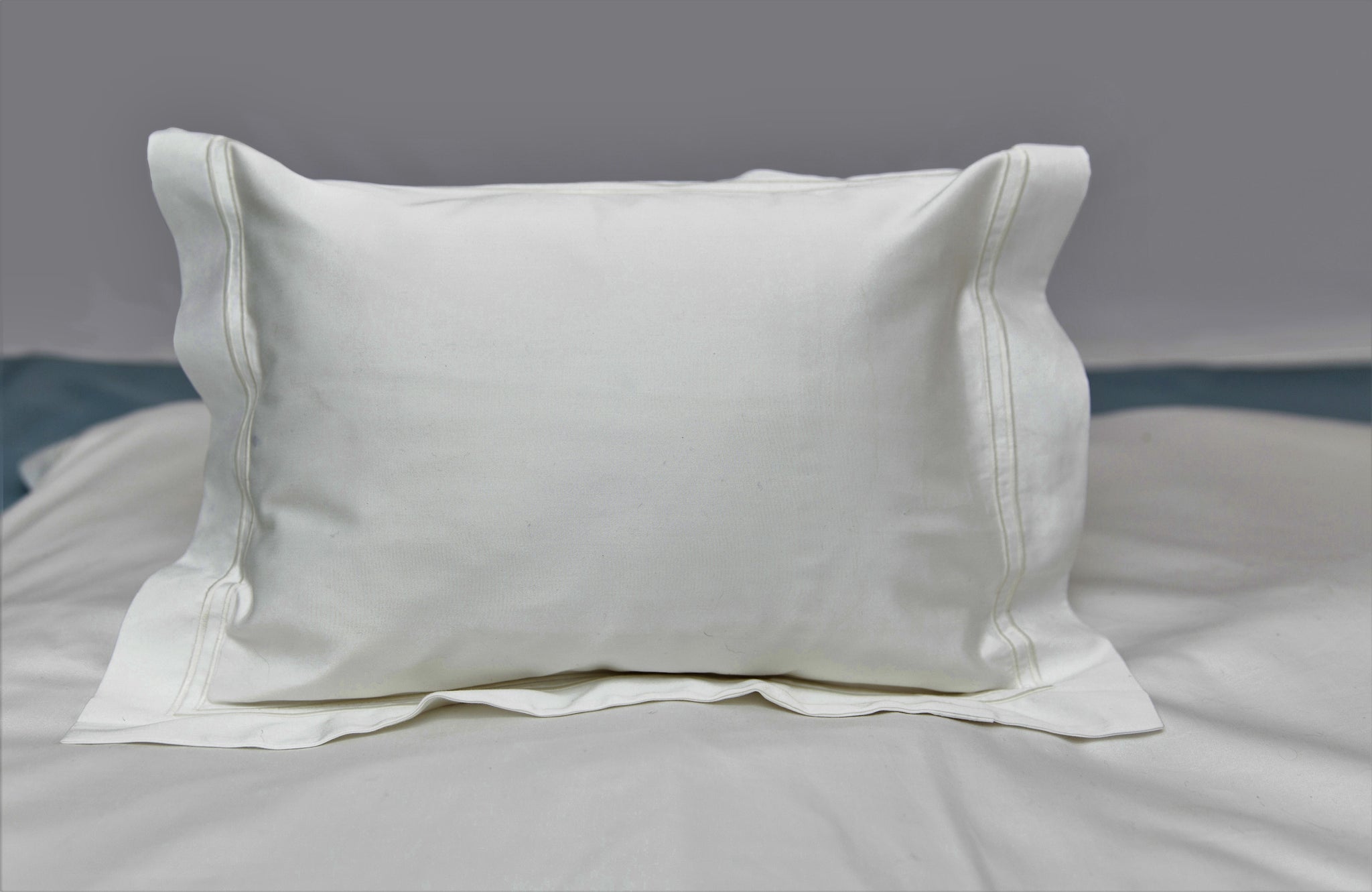 Elegant Baby Cot Pillow Case 400TC - Blue Willow Tree