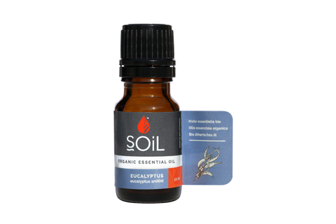 SOil Organic Essential Oil -   Eucalyptus Oil (Eucalyptus Smithii) 10ml