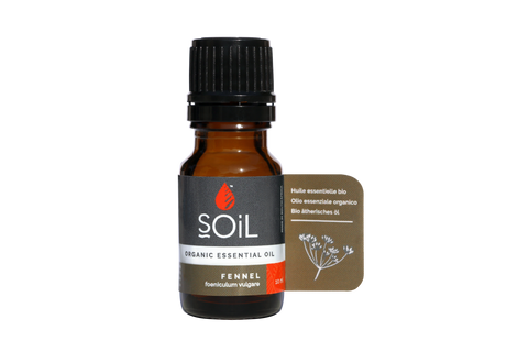 SOil Organic Essential Oil - Fennel (Foeniculum Vulgare) Oil 10ml