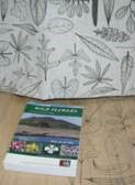 Leaves Fabric - Leaf Green on Natural - Blue Willow Tree