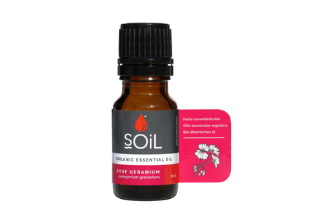 SOil Organic Essential Oil - Rose Geranium Oil (Pelargonium Graveolens) 10ml
