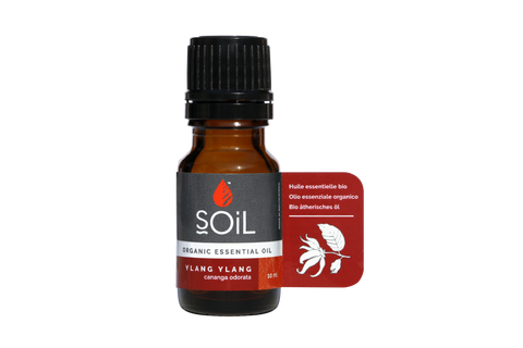 SOil Organic Essential Oil - Ylang Ylang Oil (Cananga Odorata) 10ml