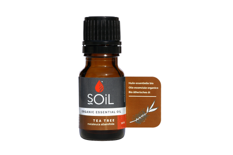 SOil Organic Essential Oil - Tea Tree oil (Melaleuca Alternifolia) 10ml